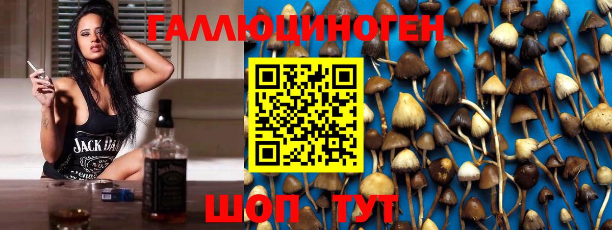 Псилоцибиновые грибы MAGIC MUSHROOMS Югорск