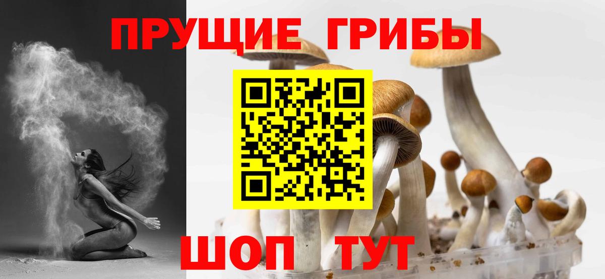 Псилоцибиновые грибы ЛСД  Вход с VPN  купить  цена  Югорск  Псилоцибиновые грибы прущие грибы 